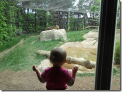 Chattanooga Zoo 019
